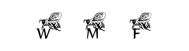 LMS Helpful Hunny Bee  Free Fonts Download