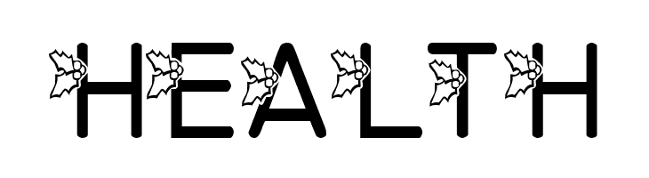 LMS Jolly Hollyday  Free Fonts Download