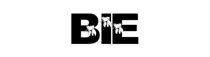 LMS Master Beta Mike  Free Fonts Download