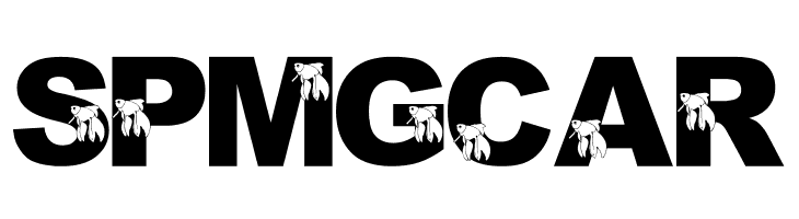 LMS Master Beta Mike  Free Fonts Download