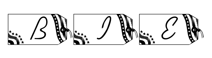 LMS Secured Nation  Free Fonts Download