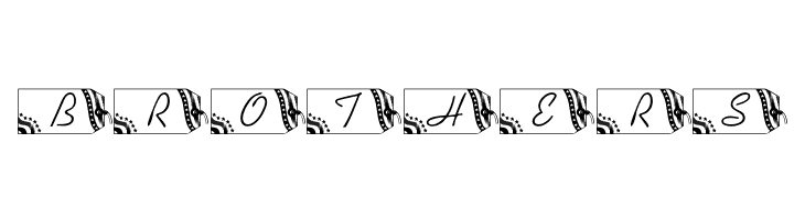 LMS Secured Nation  Free Fonts Download