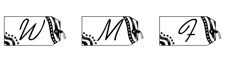 LMS Secured Nation  Free Fonts Download