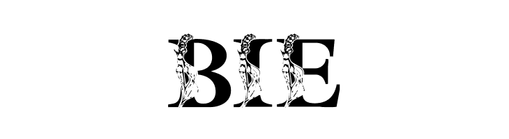 LMS Spring Lily  Free Fonts Download