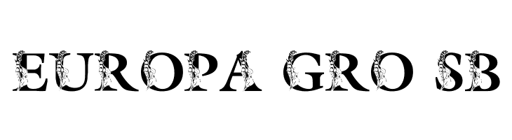 LMS Spring Lily  Free Fonts Download