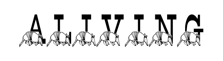 LMS Stef's Texas Friend  Free Fonts Download