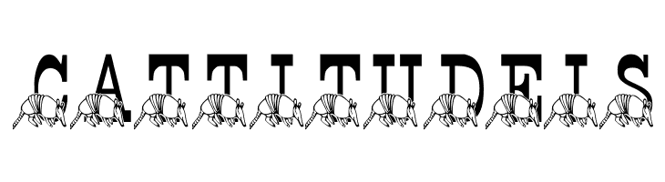 LMS Stef's Texas Friend  Free Fonts Download