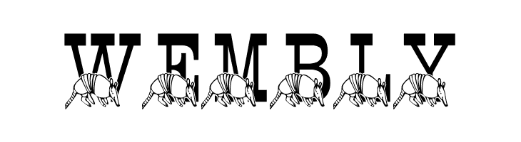 LMS Stef's Texas Friend  Free Fonts Download