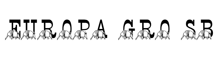 LMS Stef's Texas Friend  Free Fonts Download