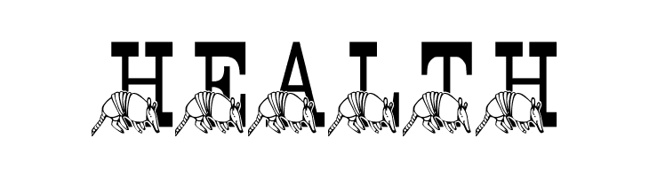LMS Stef's Texas Friend  Free Fonts Download