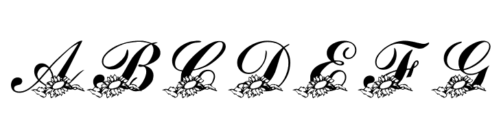 LMS Sunflowers for Jodie  Free Fonts Download