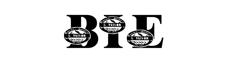 LMS Survive The Outback  Free Fonts Download