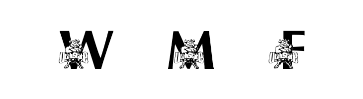 LMS USU's Big Blue  Free Fonts Download