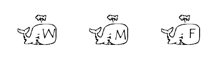 LMS Whale Of A Font  Free Fonts Download