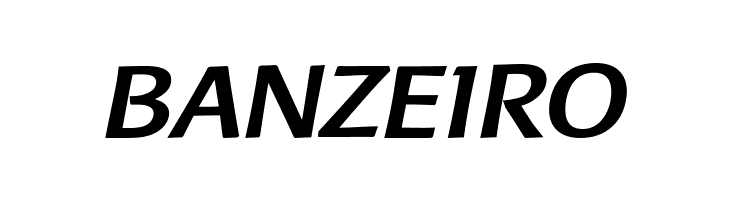 Baar Metanoia BoldItalic  Free Fonts Download