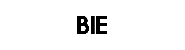 Big Orange  Free Fonts Download