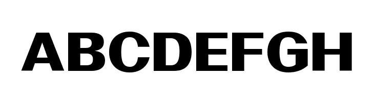 Nintend Bold  Free Fonts Download