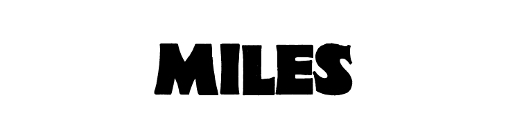 Fat Lady by Marta van Eck  Free Fonts Download